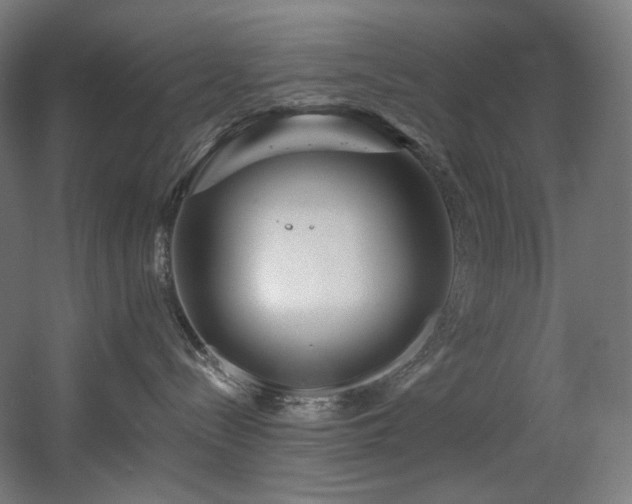 X0000060580288200511031344