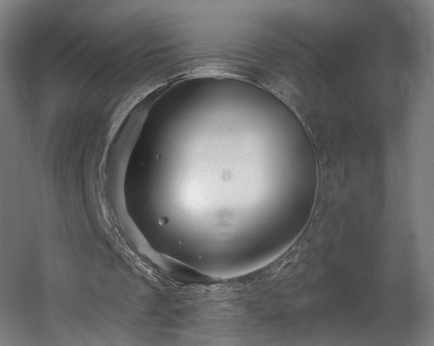 X0000060580289200511031343