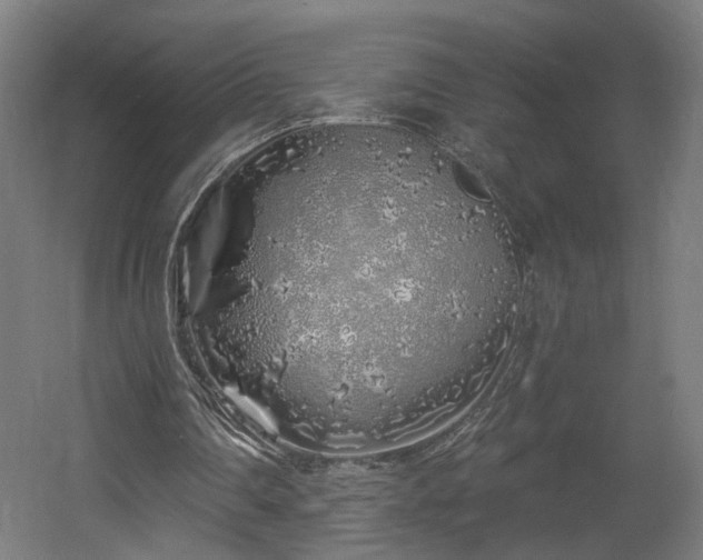 X0000060580290200511031343