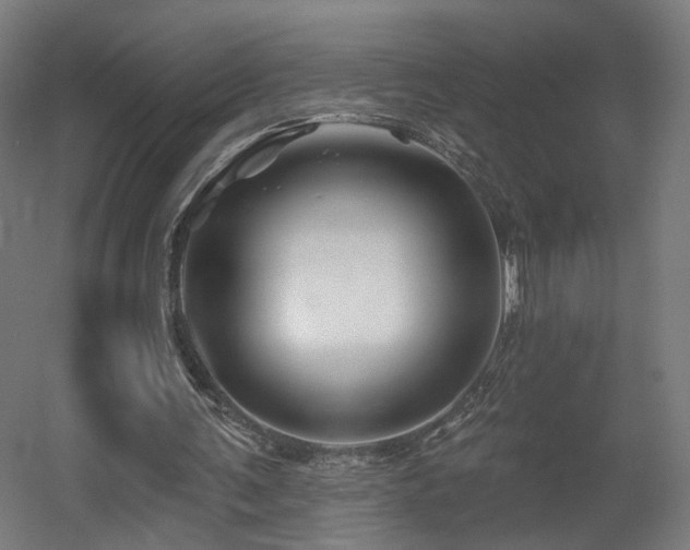 X0000060580291200511031343