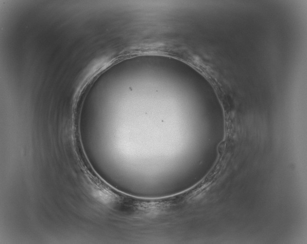 X0000060580293200511031343