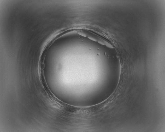 X0000060580294200511031343