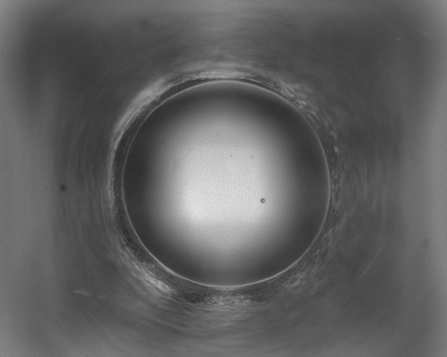 X0000060580296200511031343