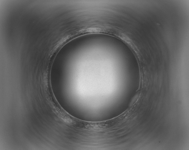 X0000060580297200511031343