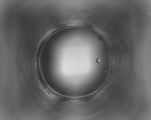 X0000060580298200511031343