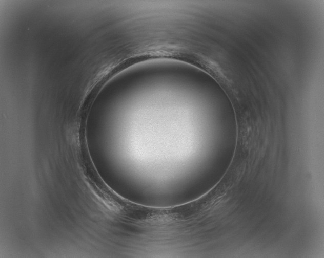 X0000060580299200511031343