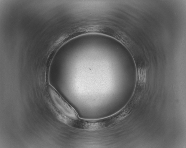 X0000060580301200511031343