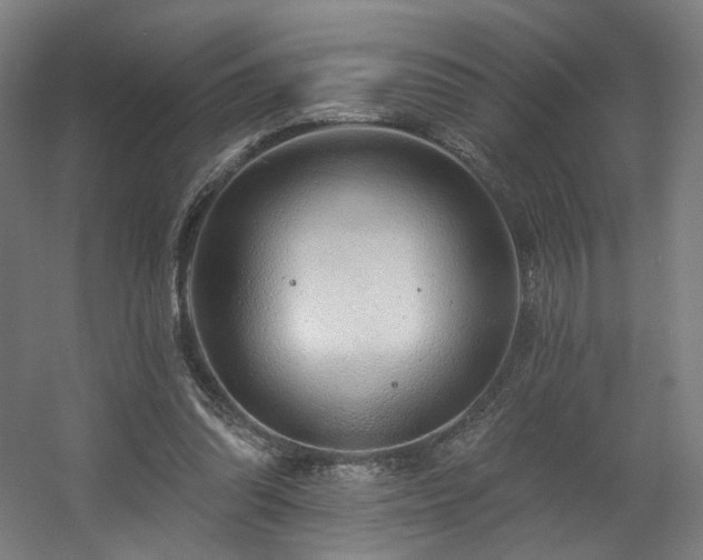 X0000060580302200511031343