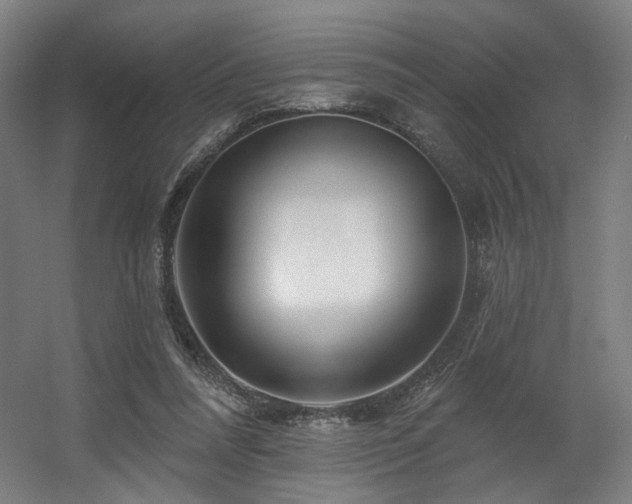 X0000060580304200511031343