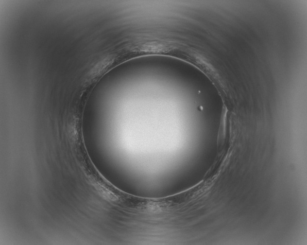 X0000060580305200511031343