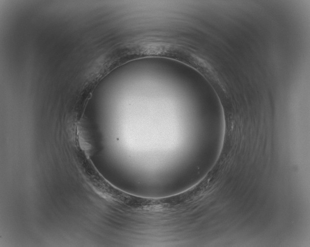 X0000060580307200511031343