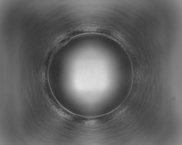 X0000060580309200511031343