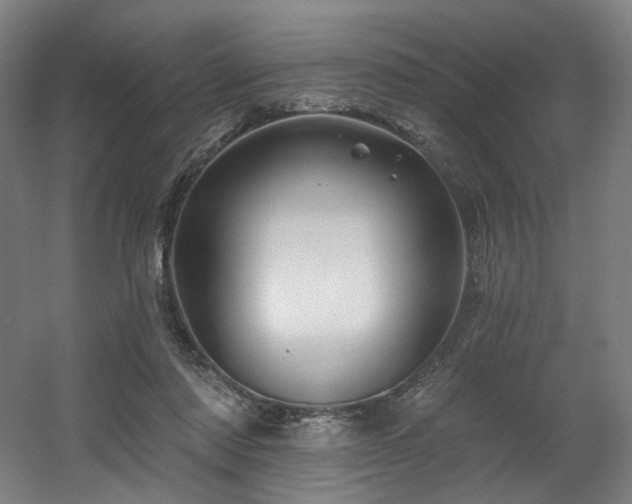 X0000060580310200511031343