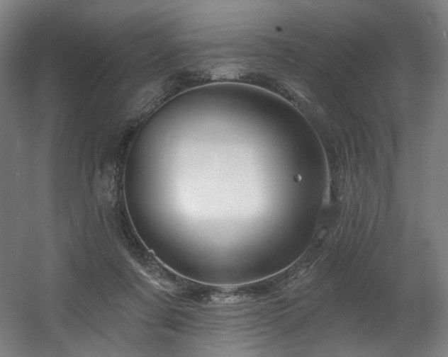 X0000060580311200511031343