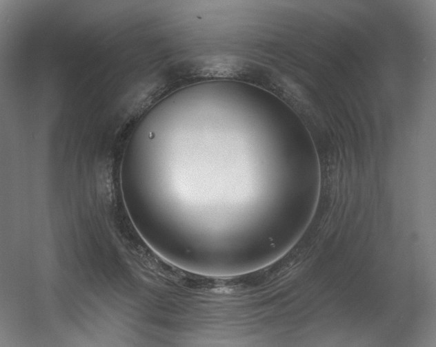 X0000060580312200511031343