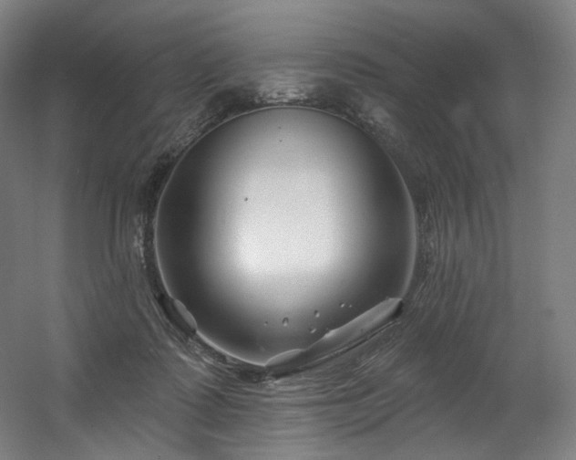 X0000060580315200511031343