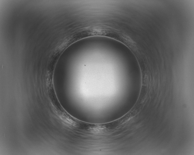 X0000060580318200511031343