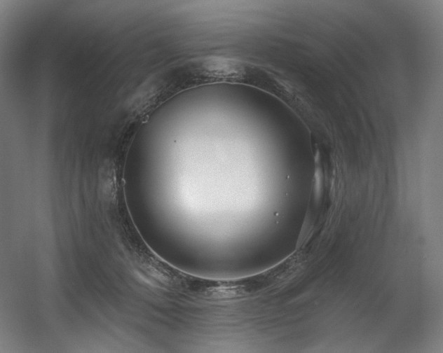 X0000060580320200511031343