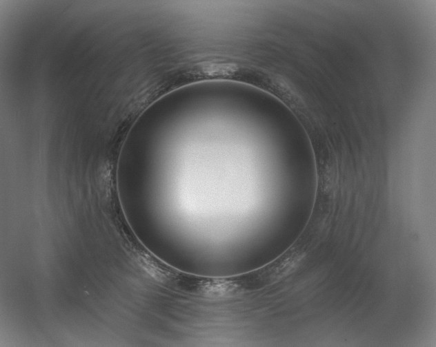 X0000060580321200511031343