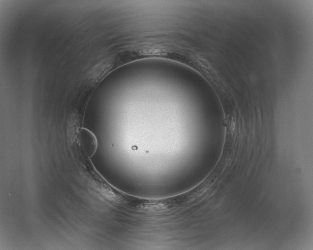 X0000060580322200511031343