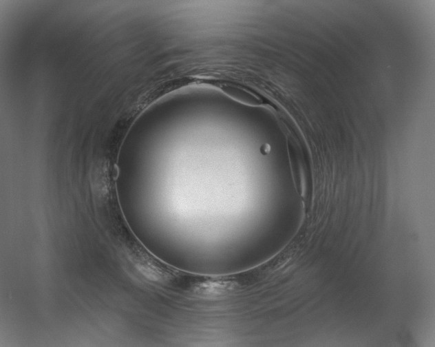 X0000060580323200511031343