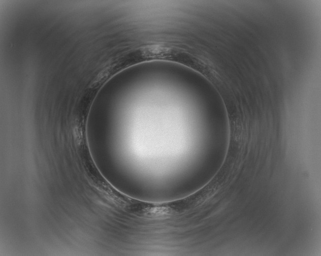 X0000060580324200511031343