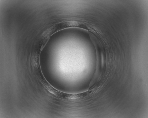 X0000060580325200511031343