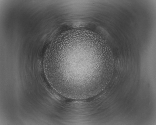 X0000060580327200511031342