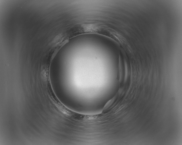 X0000060580329200511031342