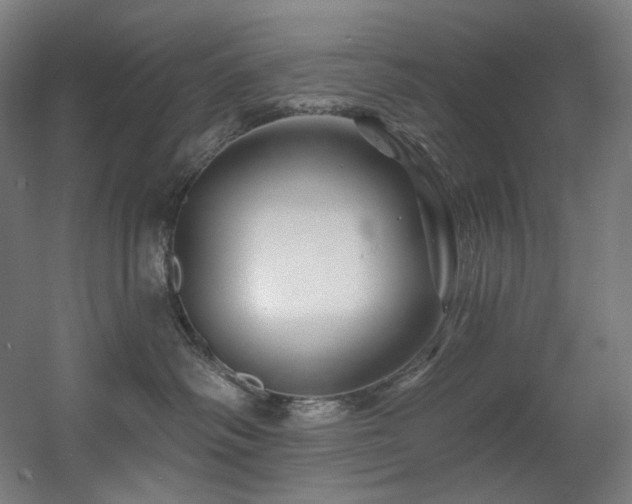 X0000060580334200511031342