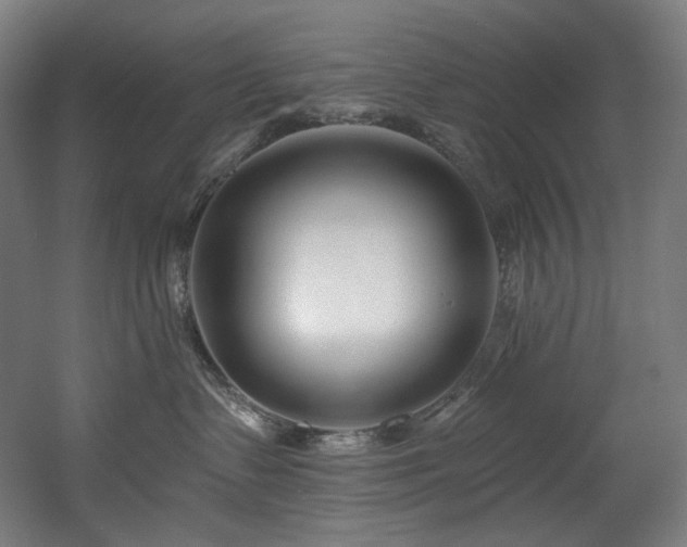 X0000060580335200511031342