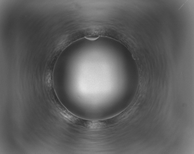 X0000060580336200511031342