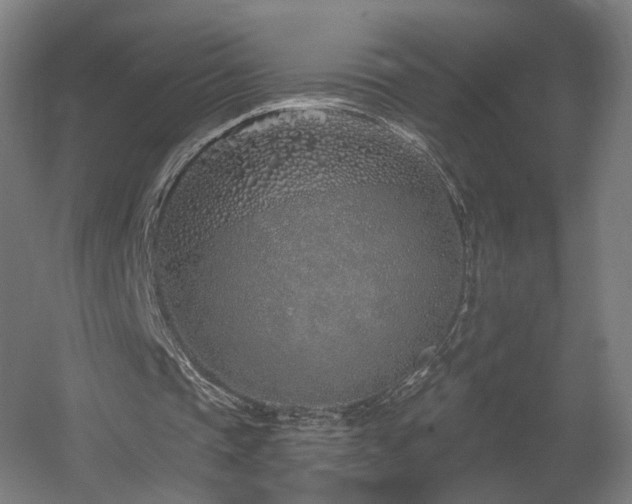 X0000060580337200511031342