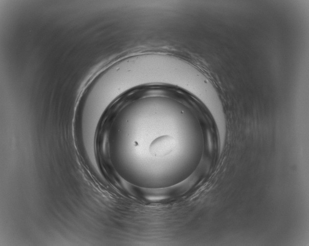 X0000060580340200511031342