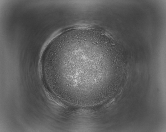 X0000060580343200511031342