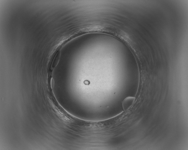 X0000060580345200511031342