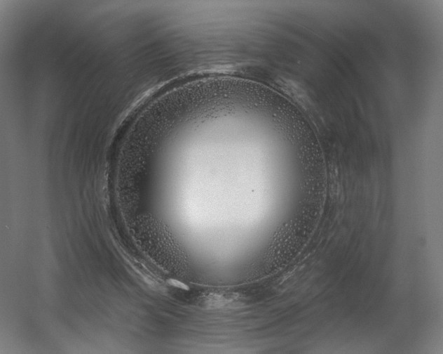 X0000060580346200511031342