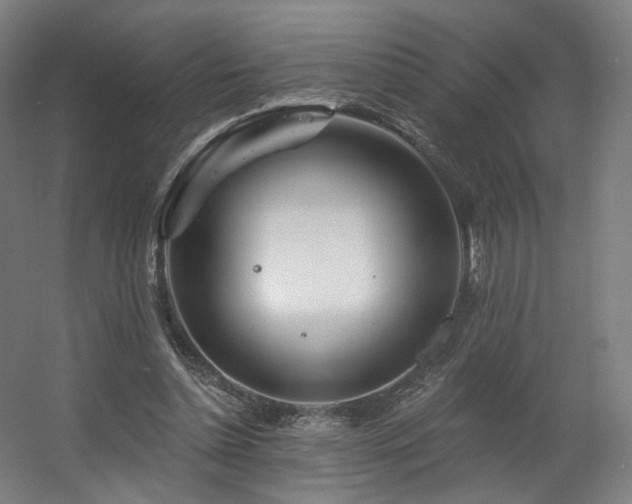 X0000060580348200511031342