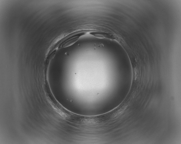 X0000060580349200511031342