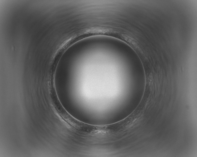 X0000060580352200511031342