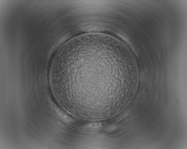 X0000060580353200511031342