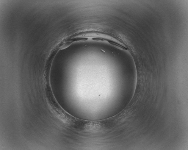 X0000060580354200511031342