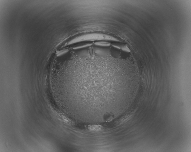 X0000060580355200511031342