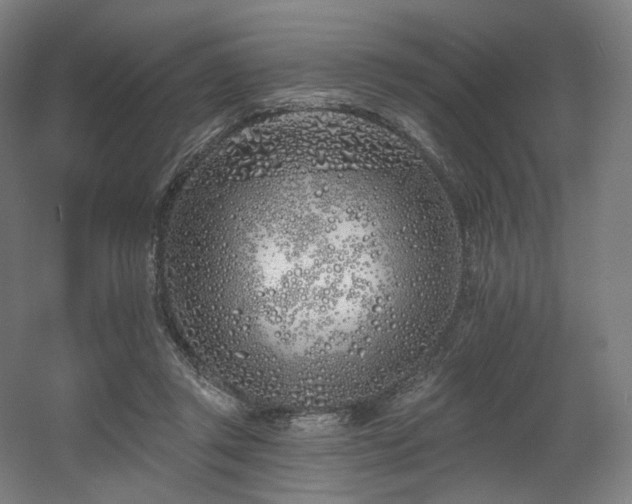 X0000060580357200511031342