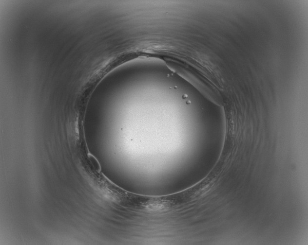 X0000060580358200511031342