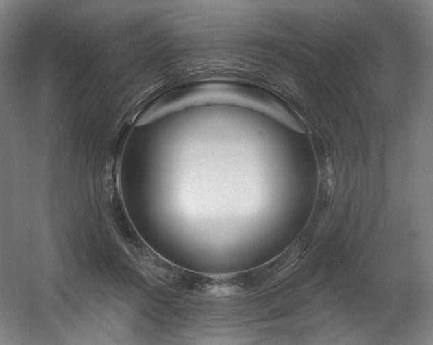 X0000060580360200511031342