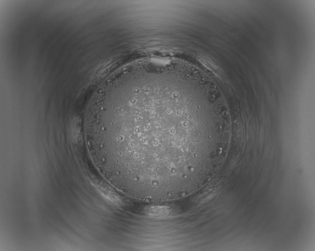 X0000060580361200511031342