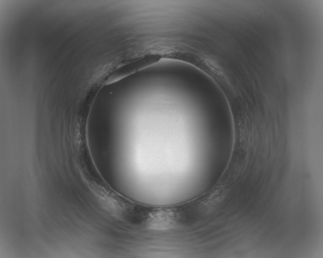 X0000060580362200511031342