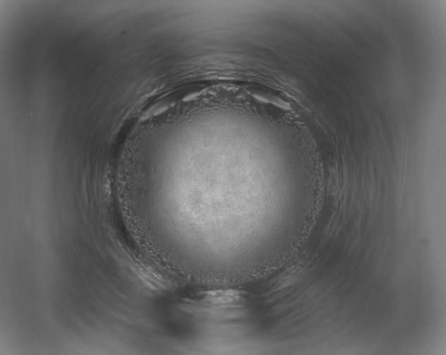 X0000060580363200511031342