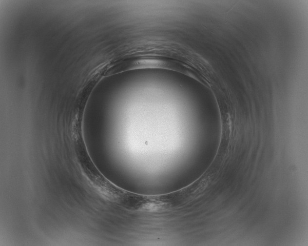 X0000060580364200511031342